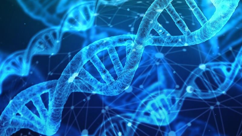 Türk toplumunun genetik kodlarına ışık tutan araştırma sonuçlandı
