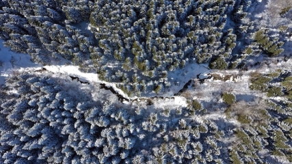 Kastamonu'nun karla kaplı ormanları havadan görüntülendi