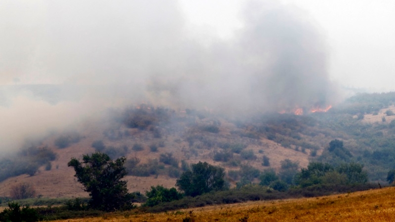 Bulgaristan-Türkiye sınırındaki yangın söndürüldü
