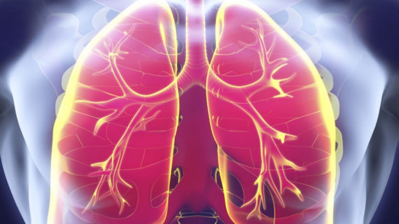 Sigara içenlerde akciğer sertleşmesi kanserden daha tehlikeli