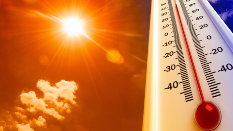 2020, 'dünyada en sıcak ikinci yıl' olarak kayıtlara geçti