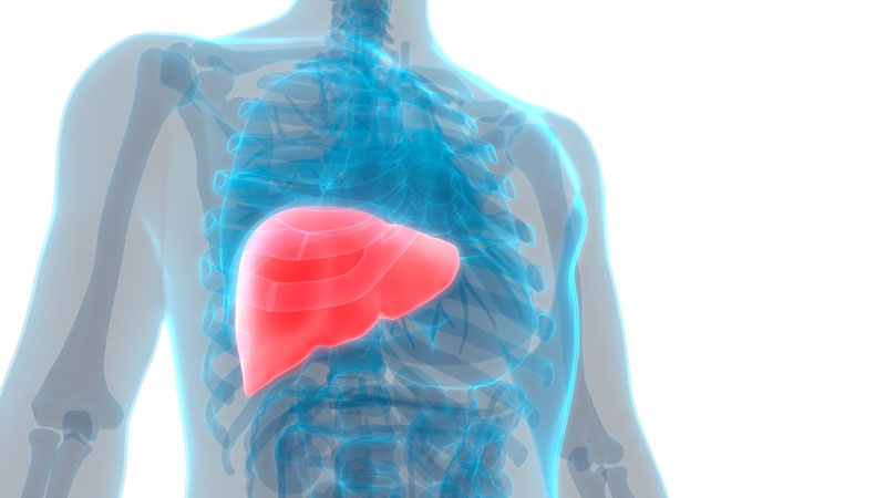 Karaciğer yetmezliğinin yüzde 60 ila 70'i kronik hepatit kaynaklı