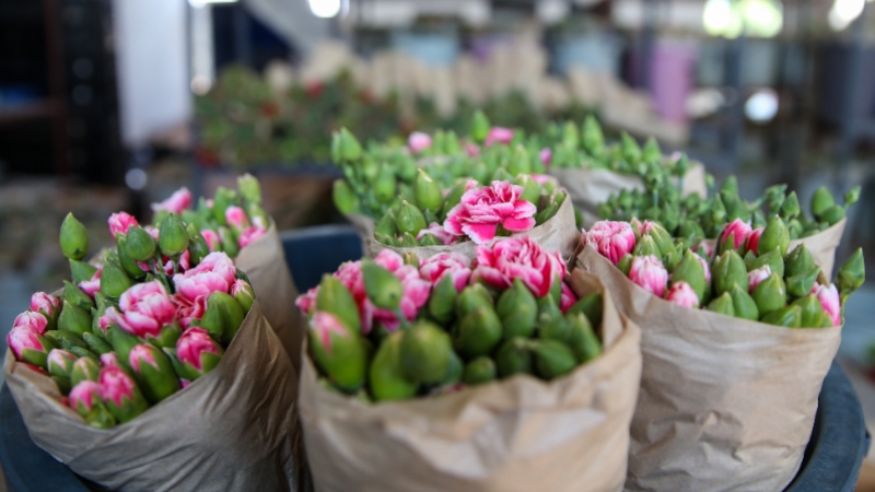 Türkiye'den 83 ülkeye 125 milyon dolarlık çiçek ihracatı