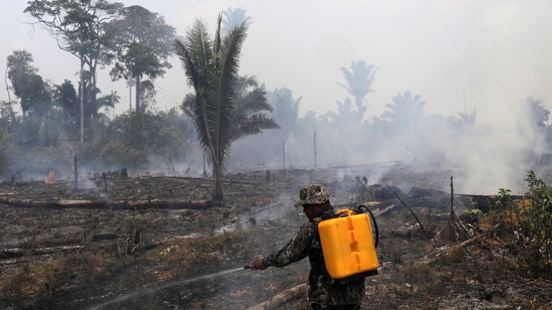 Amazonlar hala yanıyor