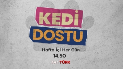 Kedi Dostu
