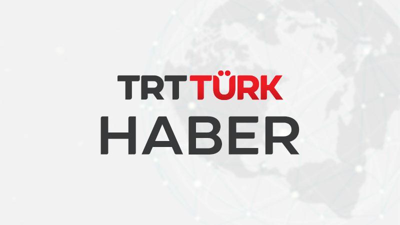 Haber 18