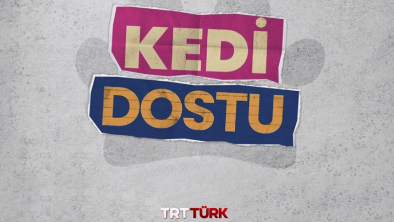 Kedi Dostu