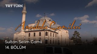 Anadolu Camileri