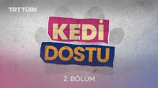 Kedi Dostu