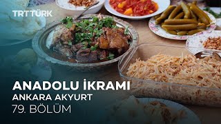 Anadolu İkramı